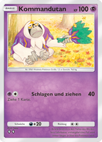 Team Rockets Pläne 033/072 Kommandutan