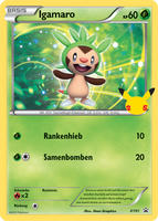 Kollektion zum 25. Jahrestag XY01 Igamaro
