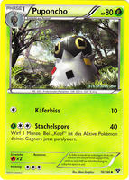 XY-Basisset 16/146 Puponcho