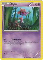 Flammenmeer 44/106 Algitt