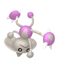 Kapoera