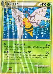 Entfesselt 12/95 Bibor