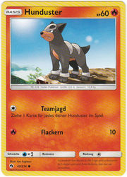 Echo des Donners 45/214 Hunduster