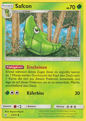 Kräfte im Einklang 3/214 Safcon