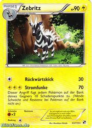 Schwarz & Weiß 043/114 Zebritz