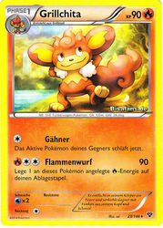 XY-Basisset 23/146 Grillchita