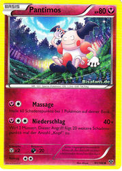 XY-Basisset 91/146 Pantimos