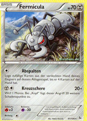 Flammenmeer 61/106 Fermicula