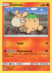 Bund der Gleichgesinnten 23/236 Camaub