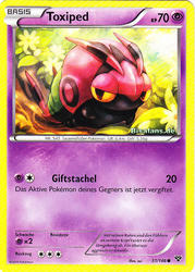 XY-Basisset 51/146 Toxiped