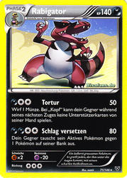 XY-Basisset 71/146 Rabigator