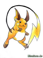 Zeichenkurs Raichu - Schritt 13