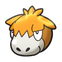 Camerupt