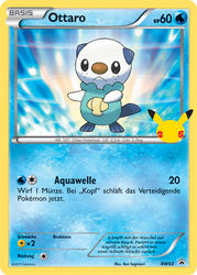 Kollektion zum 25. Jahrestag BW03 Ottaro