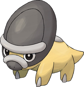 Schilterus
