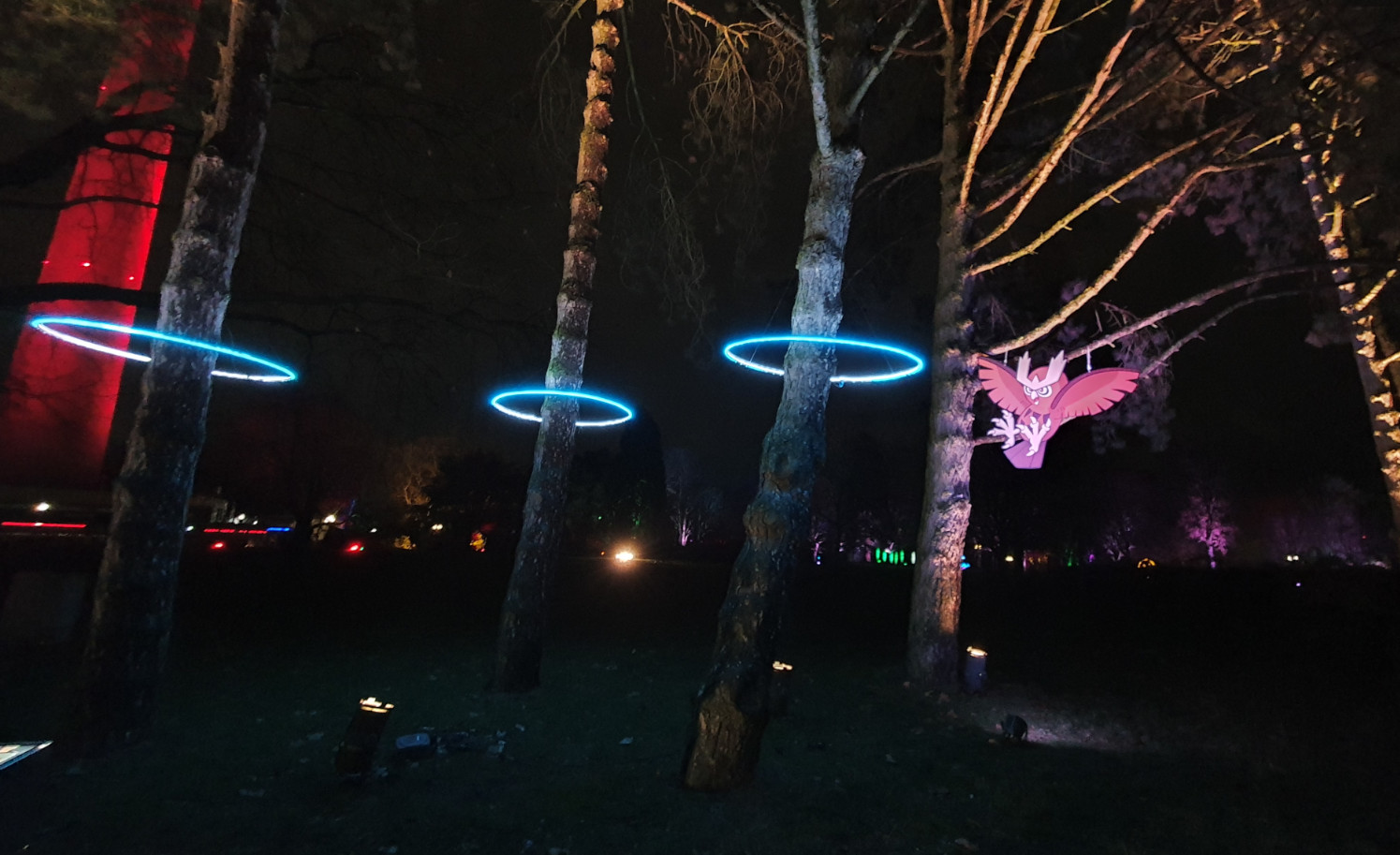 Noctuh beim Pokémon Winterleuchten Noctuh beim Pokémon Winterleuchten