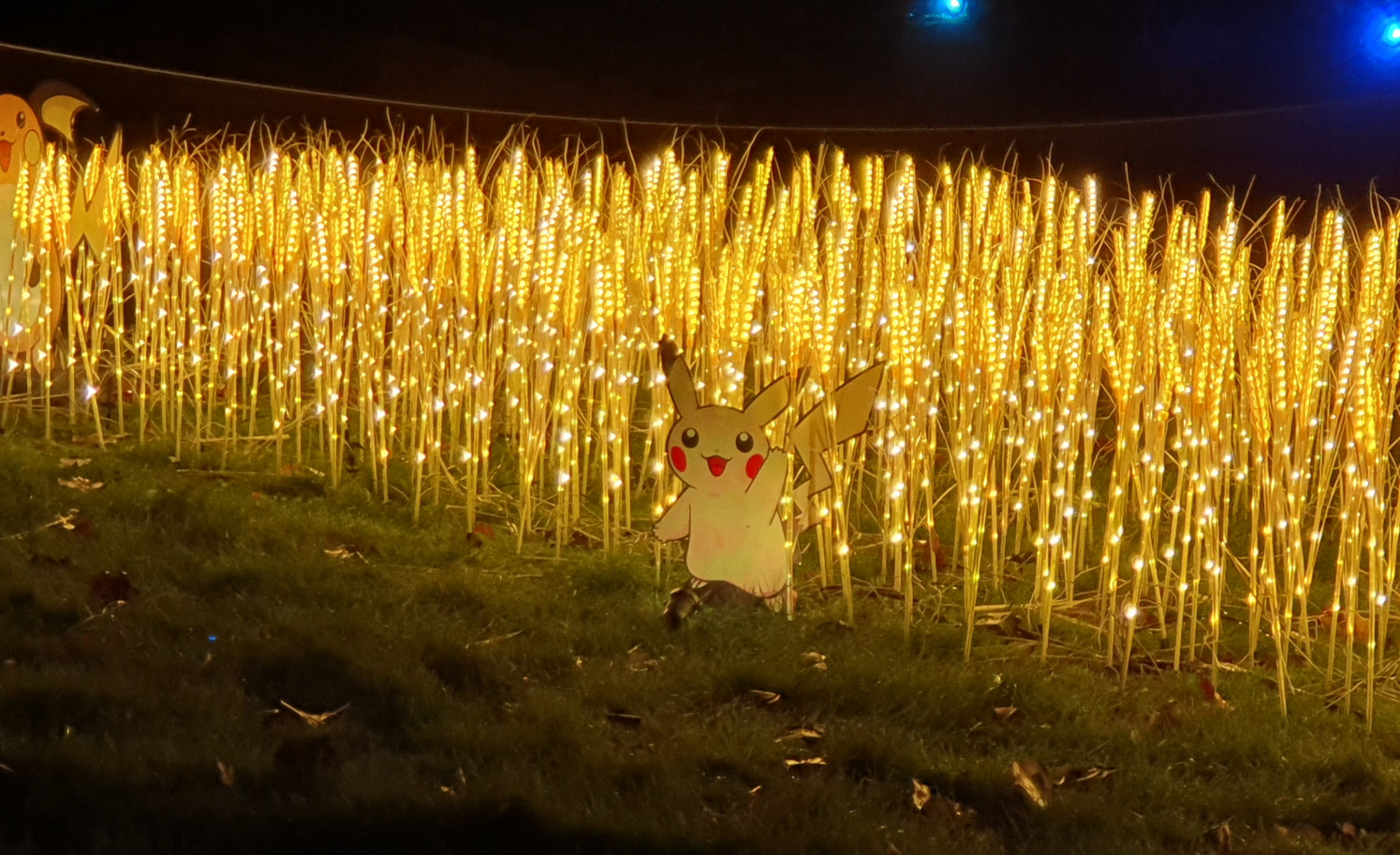 Pikachu beim Pokémon Winterleuchten Pikachu beim Pokémon Winterleuchten