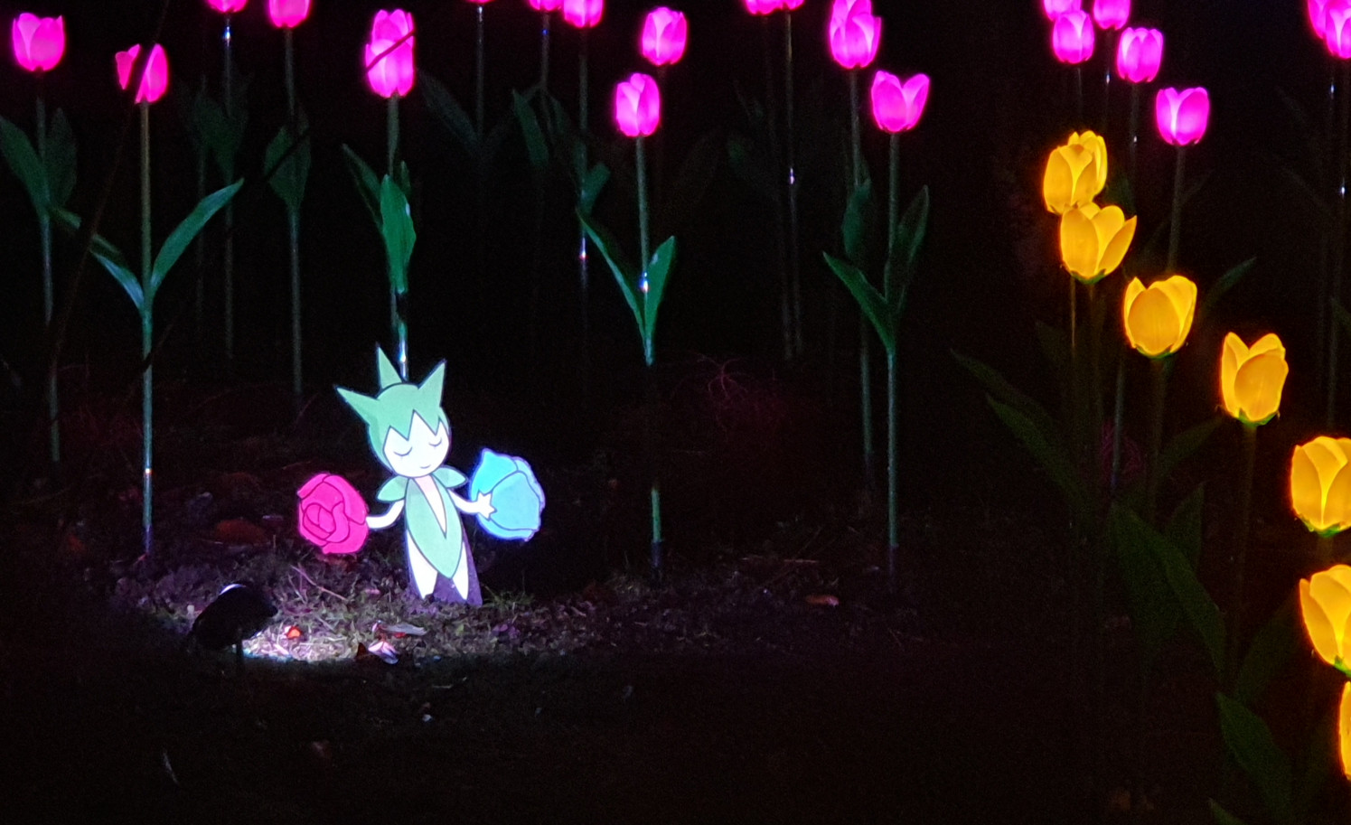 Roselia beim Pokémon Winterleuchten Roselia beim Pokémon Winterleuchten