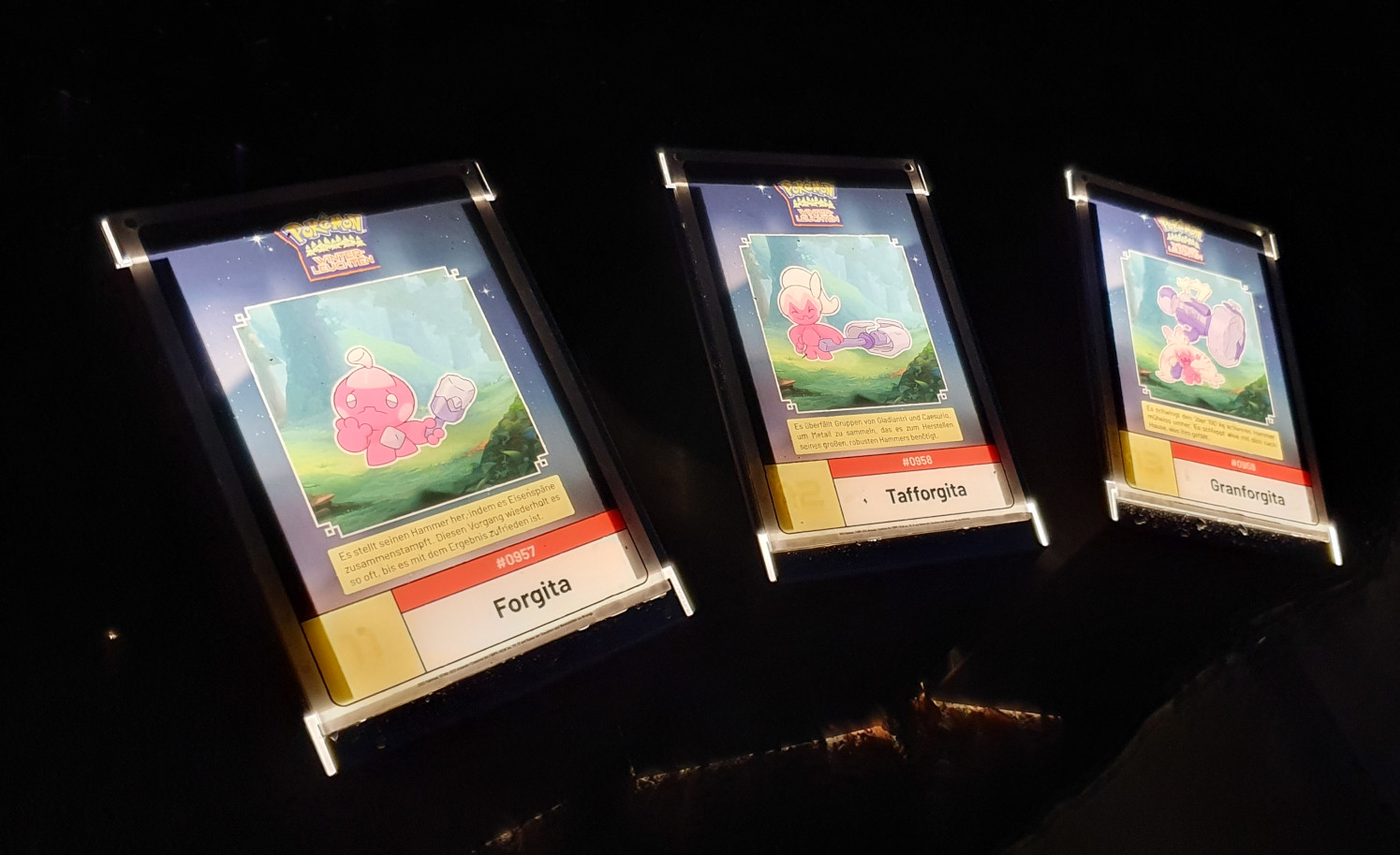 Infotafeln des Pokémon Winterleuchten Infotafeln des Pokémon Winterleuchten