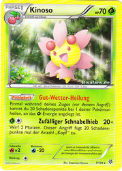 Plasma-Sturm 7/135 Kinoso