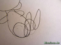 Zeichenkurs Mew - Schritt 4