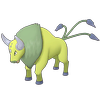 Schillendes Tauros