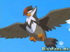 Screenshot von Staraptor