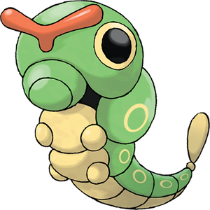 Raupy