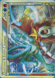 Entfesselt 94/95 Suicune & Entei LEGENDE
