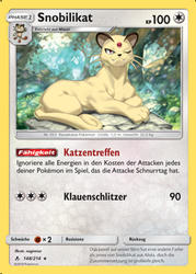 Kräfte im Einklang 148/214 Snobilikat