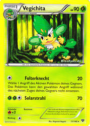 XY-Basisset 11/146 Vegichita
