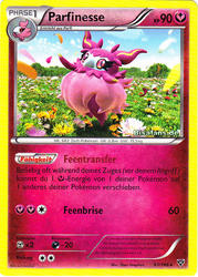 XY-Basisset 93/146 Parfinesse