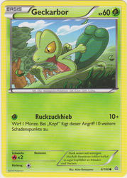 Protoschock 6/160 Geckarbor