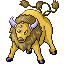 Tauros Tauros