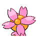Kinoso Sonnentagsform Kinoso Sonnentagsform