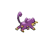 Rattfratz ♀ Rattfratz ♀