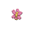 Kinoso Sonnentagsform Kinoso Sonnentagsform