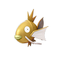 Karpador ♀ Karpador ♀