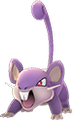 Rattfratz ♀ Rattfratz ♀