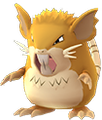 Rattikarl ♀ Rattikarl ♀