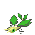 Vibrava Vibrava