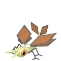 Vibrava Vibrava