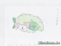 Zeichenkurs Shaymin (schlafend) - Schritt 8