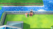 Meistertrainer Meistertrainer
