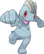 Machollo