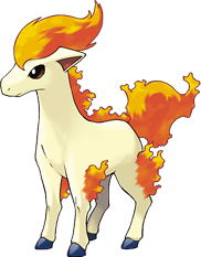 Ponita
