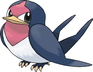 Schwalbini