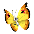 Vivillon Kontinentalmuster