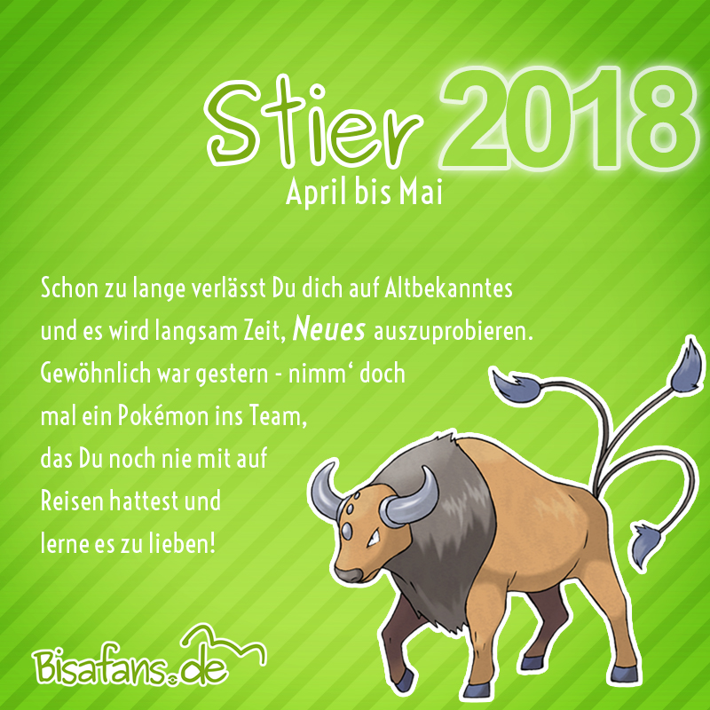 Stier Stier