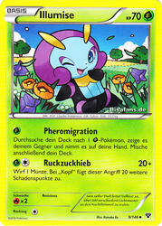 XY-Basisset 9/146 Illumise